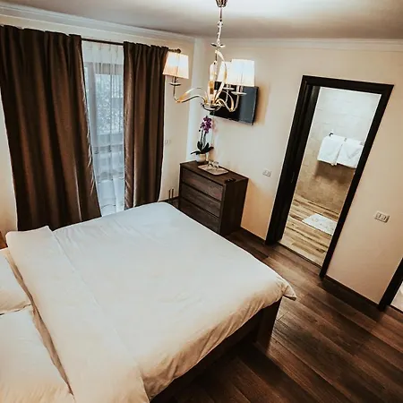 Pensiunea Romana Guest house