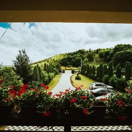 Pensiunea Romana Guest house 3*